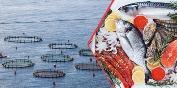 SU ÜRÜNLERİNDE YENİ ÜRETİM REKORU