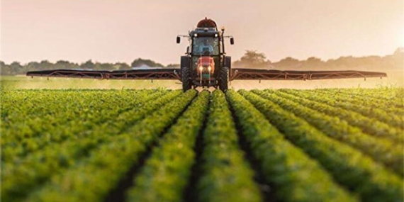 ORGANİK VE İYİ TARIM DESTEKLERİNDE BÜYÜK ARTIŞ