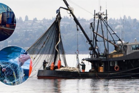 balikihracat21.11.2023