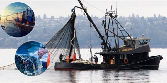 “CUMHURİYETİMİZİN 100. YILINDA BALIKLANDIRMA MİKTARINI 100 MİLYON ADEDE ÇIKARDIK”