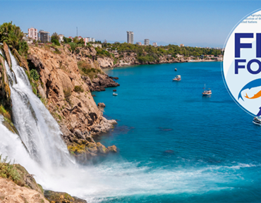 fishforum antalya vitrin