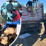 6_Subat_Deprem_Calisma_Vitrin