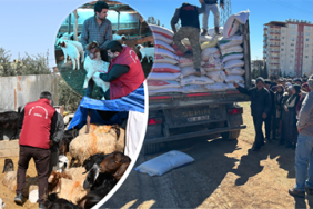 6_Subat_Deprem_Calisma_Vitrin
