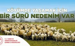 Köyümde Yaşamak İçin Bir Sürü Nedenim Var Projesi