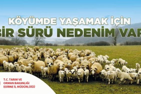 KÖYÜMDE YAŞAMAK İÇİN