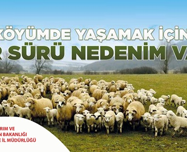 KÖYÜMDE YAŞAMAK İÇİN