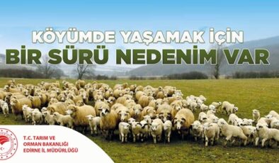 Köyümde Yaşamak İçin Bir Sürü Nedenim Var Projesi