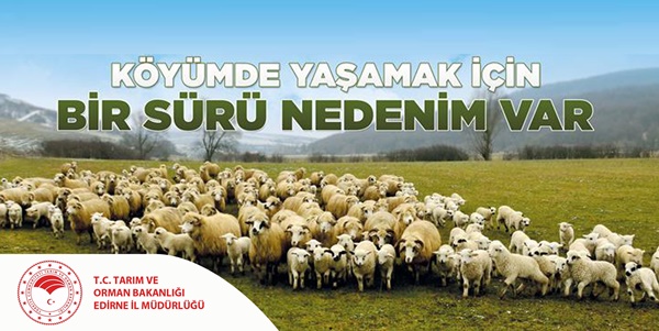 Köyümde Yaşamak İçin Bir Sürü Nedenim Var Projesi