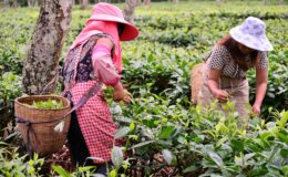 Kırsal kalkınma için 65,5 milyarlık yatırım planı