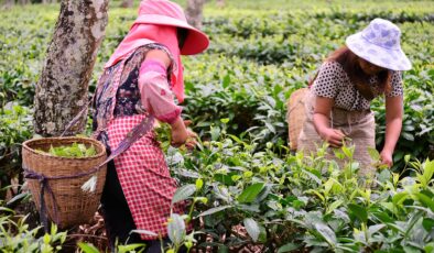 Kırsal kalkınma için 65,5 milyarlık yatırım planı