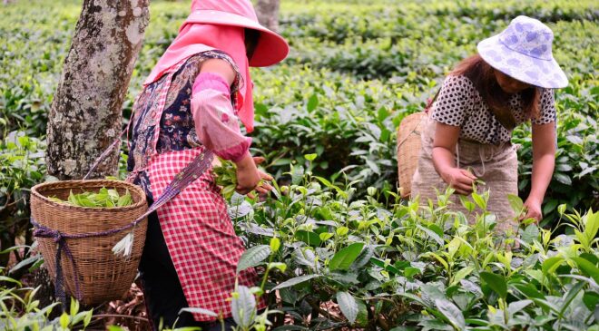 Kırsal kalkınma için 65,5 milyarlık yatırım planı