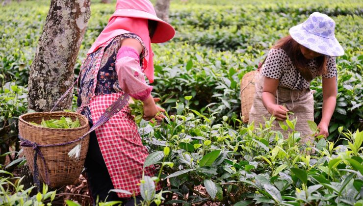 Kırsal kalkınma için 65,5 milyarlık yatırım planı