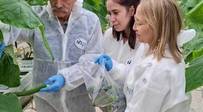 Ergene’de entegre ürün yönetimi için numune alındı