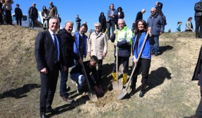 Atıl tarım arazileri gelir getiren ormana dönüşüyor