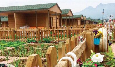 Hobi bahçelerine yeni düzenleme: tarım arazilerine sıkı denetim