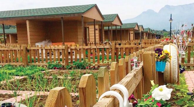 Hobi bahçelerine yeni düzenleme: tarım arazilerine sıkı denetim