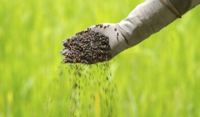 ORTA DOĞU SAVAŞI GÜBRE FİYATLARINI YÜKSELTTİ.