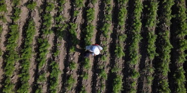 Lüleburgaz’da geniş tarım arazilerinin havadan görünümü