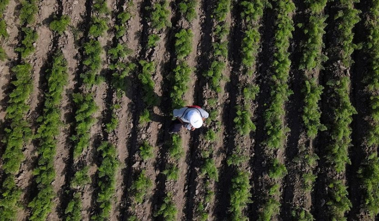 Lüleburgaz’da geniş tarım arazilerinin havadan görünümü