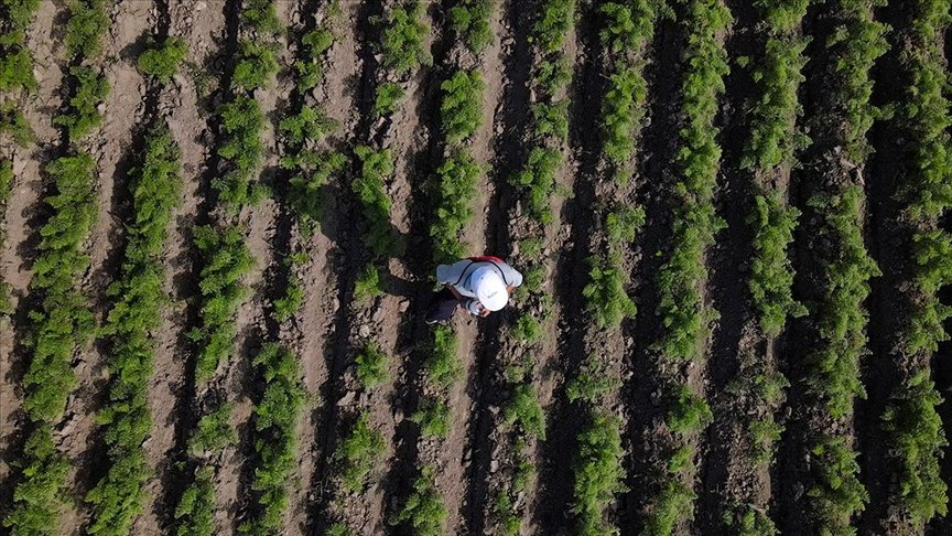 Lüleburgaz’da geniş tarım arazilerinin havadan görünümü