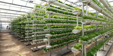 624e22d02f3b4d7eab24cc89867b5c8e