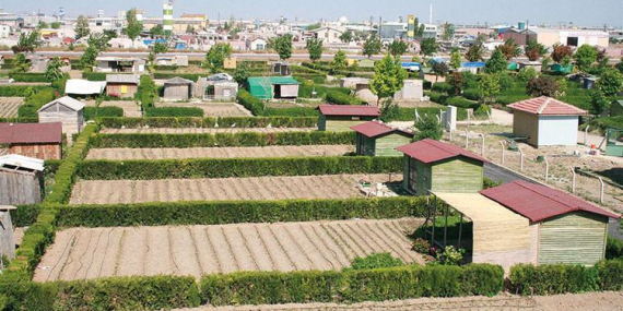 Hobi bahçesi furyasına sert fren: Kaçak yapılara milyonluk cezalar yolda