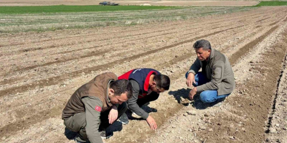 Afyon’un atıl arazileri üretime kazandırıldı