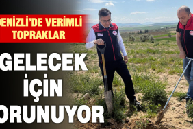 DenizliHaber-SLiDER-DiK-165