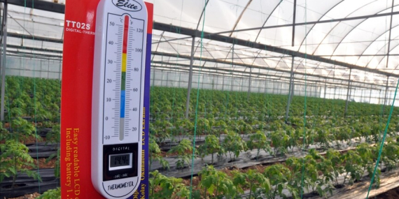 Bakanlıktan kritik zirai don uyarısı