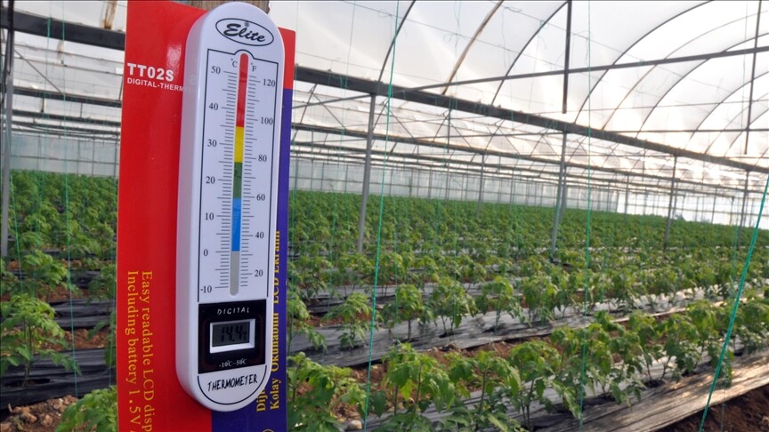 Soğuk hava nedeniyle don riski altındaki tarım arazisi