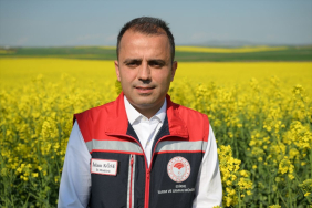 Edirne’de sarı çiçek açmış kanola tarlası