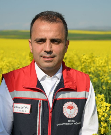 Edirne’de sarı çiçek açmış kanola tarlası