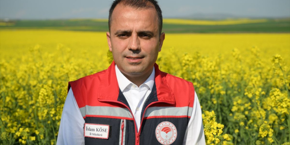 Edirne’de kanola kuraklığa alternatif oldu