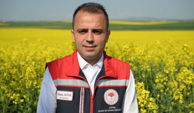 Edirne’de sarı çiçek açmış kanola tarlası