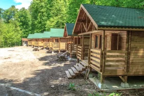 iStock-479149696-454983