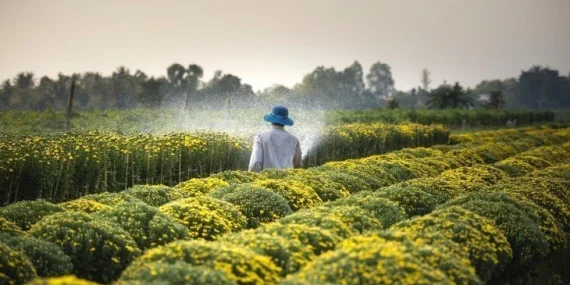 En karlı tarım ürünleri 2026: Hangi ürün ne kadar kazandırır?