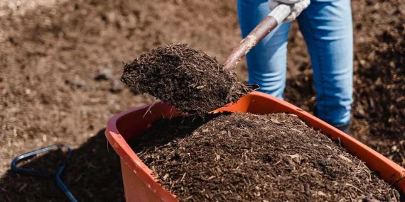 Üre mi DAP mı daha iyi? En iyi gübre hangisi 2026