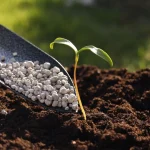 Tarım haberleri - Gübre neden etkisiz olur? 2026’da verimi düşüren kritik hatalar