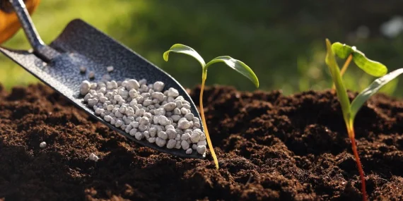 Gübre neden etkisiz olur? 2026’da verimi düşüren kritik hatalar