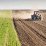 Tarım haberleri - Tarım kredileri faiz oranları 2026: Çiftçi kredilerinde güncel durum