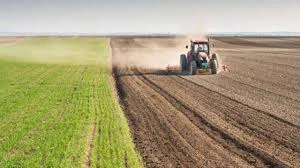 Tarım kredileri faiz oranları 2026: Çiftçi kredilerinde güncel durum