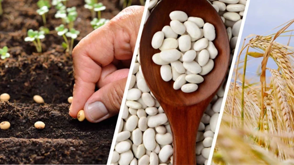 Hibe destekli tarım projeleri 2026: Devlet destekleriyle yatırım nasıl yapılır?