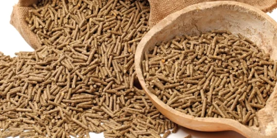 En iyi yem markaları 2026: Çiftçiler hangi markaları tercih ediyor?