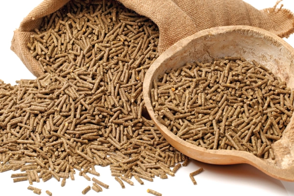 En iyi yem markaları 2026: Çiftçiler hangi markaları tercih ediyor?