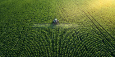 istockphoto-1154958041-612x612