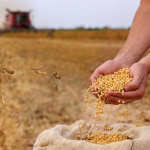 Tarımsal üretimde kullanılan girdilerin maliyet artışını temsil eden görsel