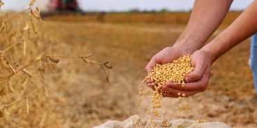 Tarımsal üretimde kullanılan girdilerin maliyet artışını temsil eden görsel