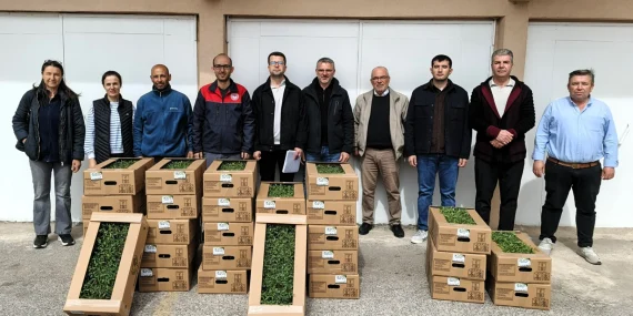 Kırklareli’nde domates fide desteği verildi