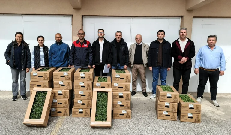 kirklareli-nde-domates-fide-dagitimi-yapildi-1776417314-638_large