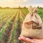 kirsal-kalkinma-desteklerinde-2021-yili-butcesi-13-milyar-tl